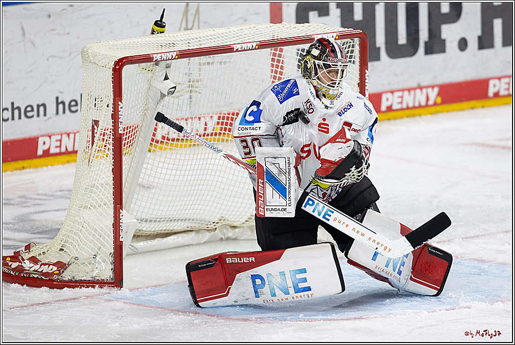 PENNY DEL 1; Kölner Haie - Fischtown Pinguins; Köln, 15.11.2024