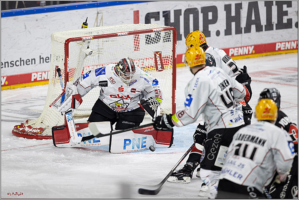 PENNY DEL 1; Kölner Haie - Fischtown Pinguins; Köln, 15.11.2024