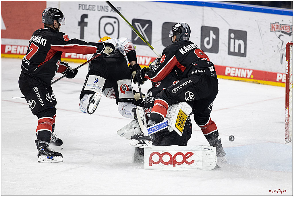 PENNY DEL 1; Kölner Haie - Fischtown Pinguins; Köln, 15.11.2024