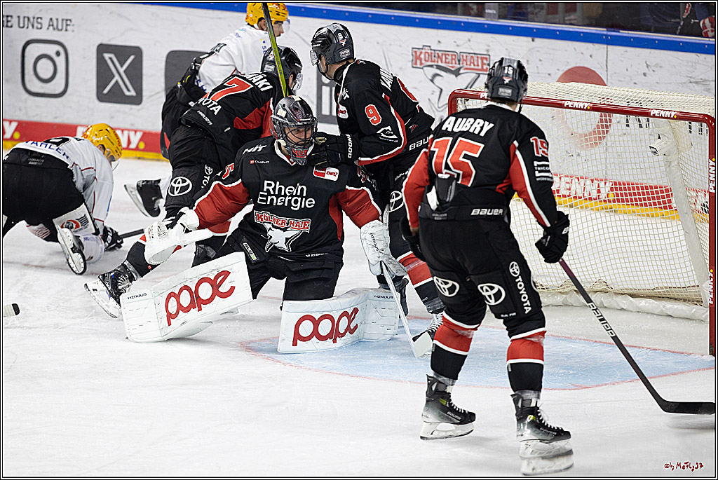 PENNY DEL 1; Kölner Haie - Fischtown Pinguins; Köln, 15.11.2024