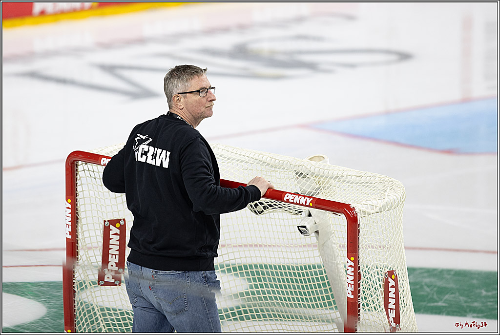PENNY DEL 1; Kölner Haie - Fischtown Pinguins; Köln, 15.11.2024