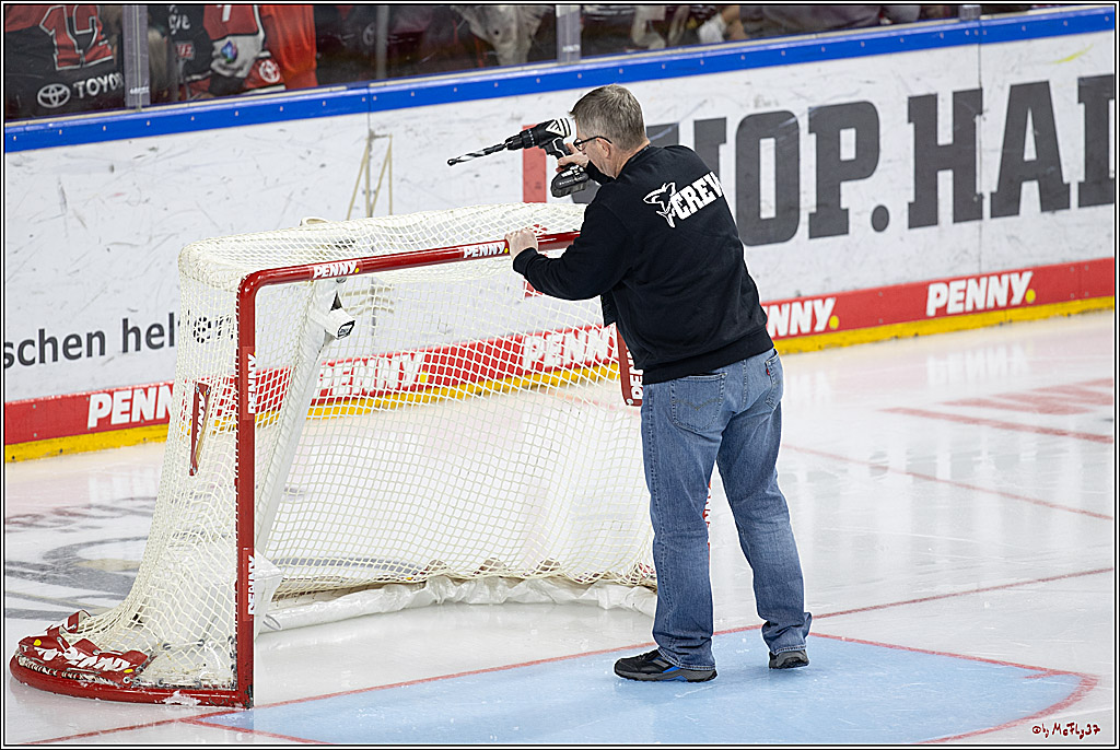 PENNY DEL 1; Kölner Haie - Fischtown Pinguins; Köln, 15.11.2024