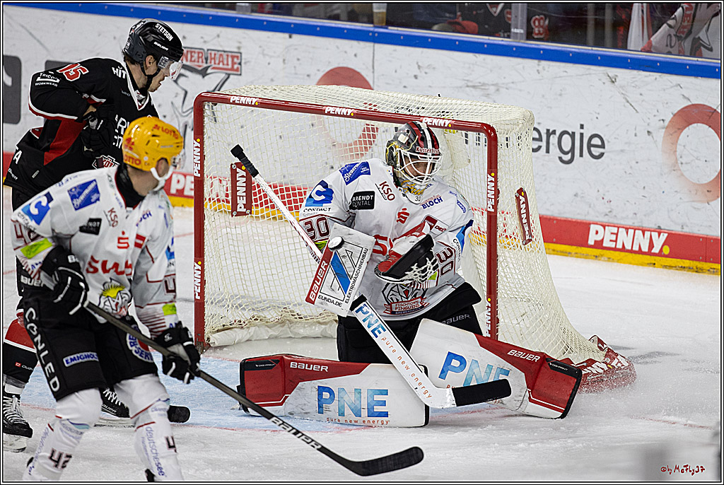 PENNY DEL 1; Kölner Haie - Fischtown Pinguins; Köln, 15.11.2024