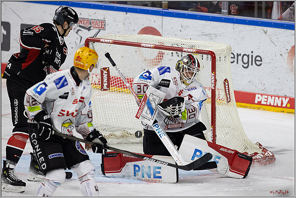 PENNY DEL 1; Kölner Haie - Fischtown Pinguins; Köln, 15.11.2024