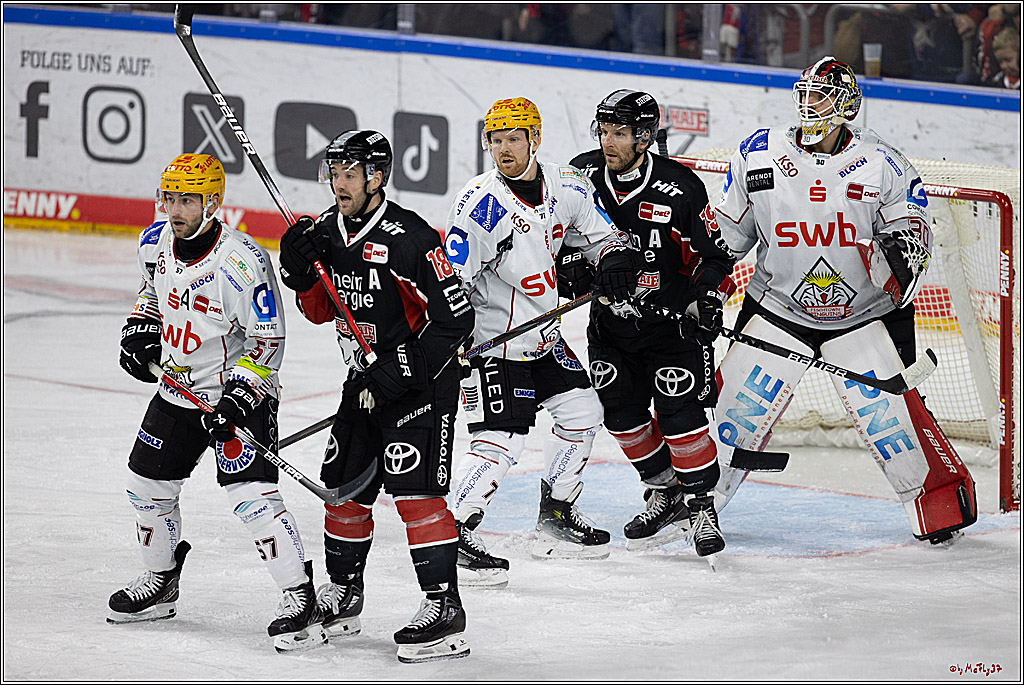 PENNY DEL 1; Kölner Haie - Fischtown Pinguins; Köln, 15.11.2024