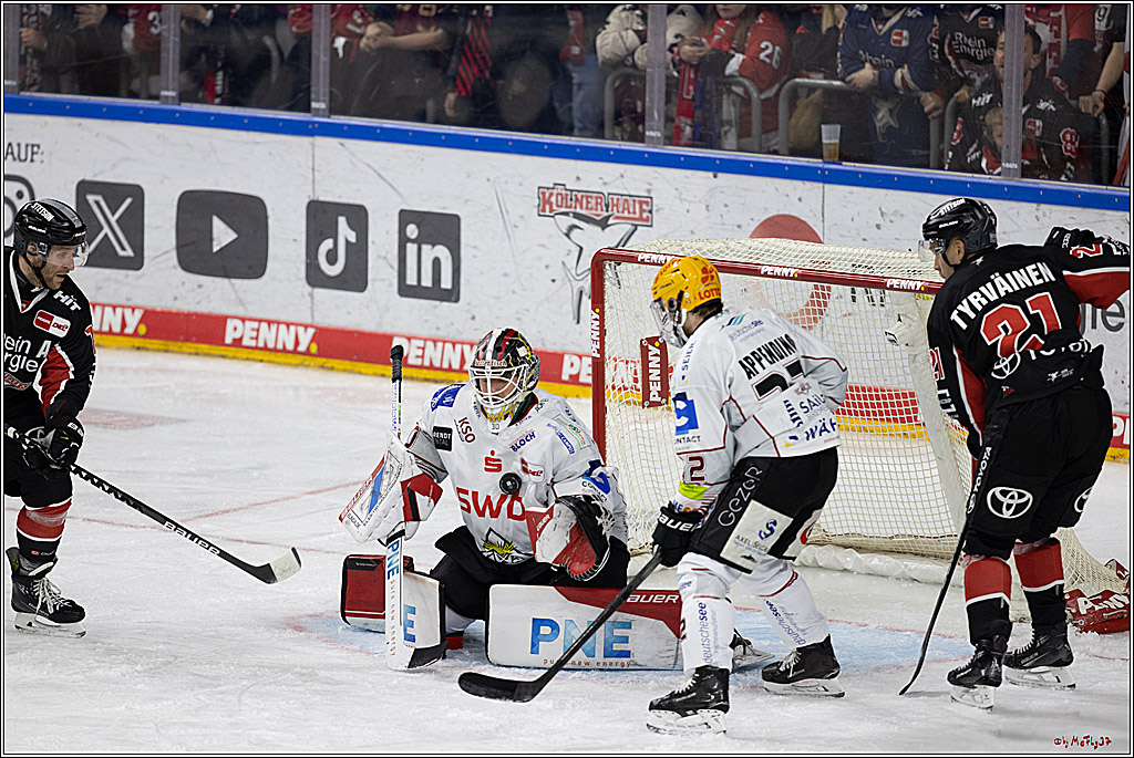 PENNY DEL 1; Kölner Haie - Fischtown Pinguins; Köln, 15.11.2024
