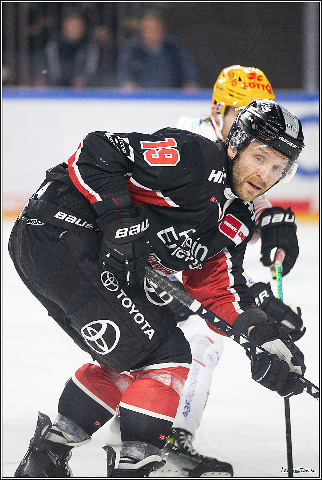 PENNY DEL; Koelner Haie-Pinguine Bremerhaven; Koeln, 15.11.2024