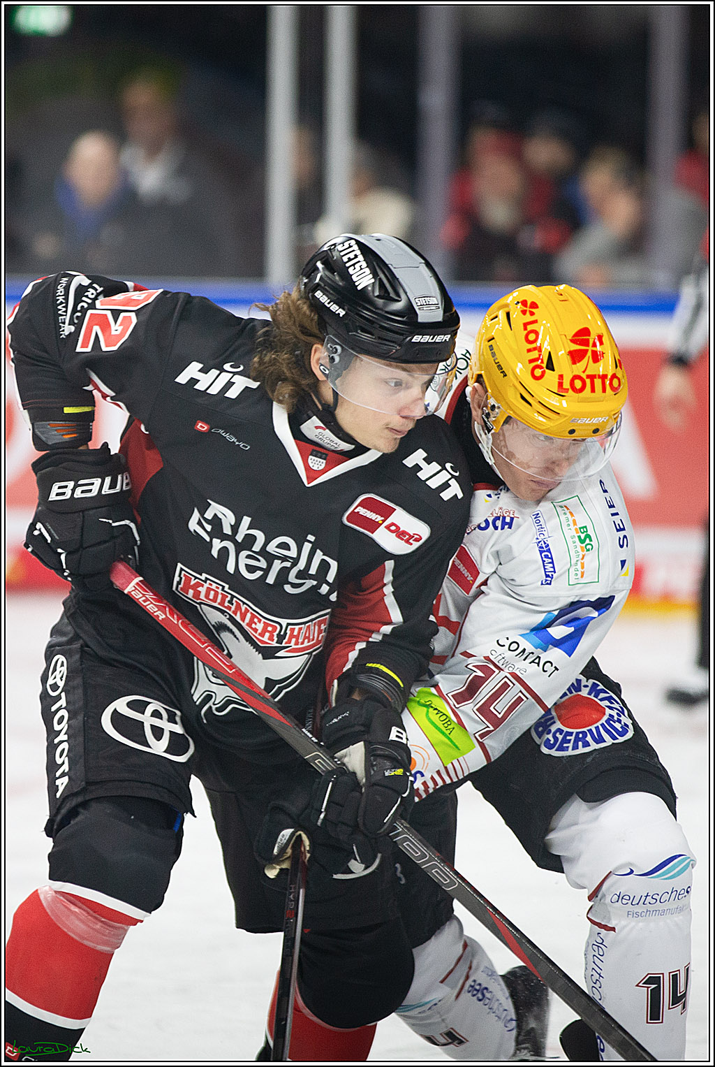 PENNY DEL; Koelner Haie-Pinguine Bremerhaven; Koeln, 15.11.2024