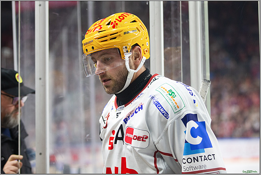 PENNY DEL; Koelner Haie-Pinguine Bremerhaven; Koeln, 15.11.2024