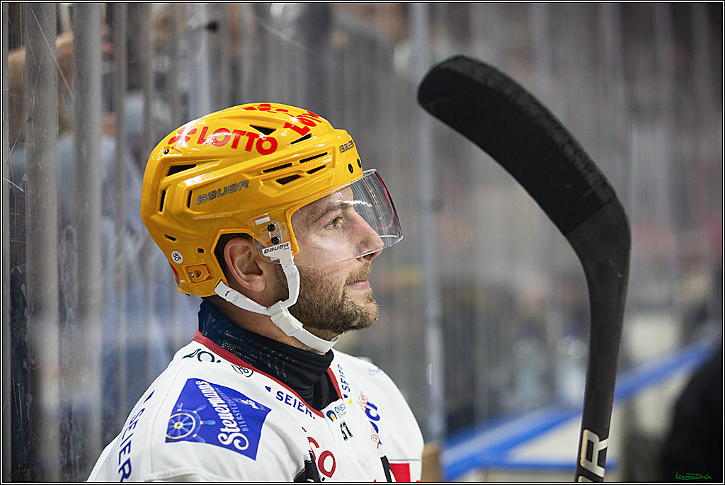 PENNY DEL; Koelner Haie-Pinguine Bremerhaven; Koeln, 15.11.2024