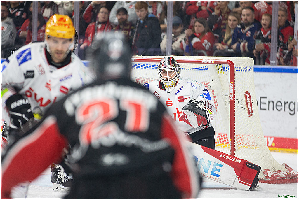 PENNY DEL; Koelner Haie-Pinguine Bremerhaven; Koeln, 15.11.2024