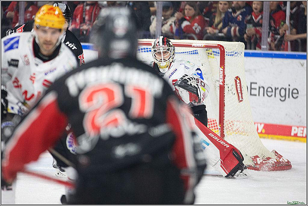 PENNY DEL; Koelner Haie-Pinguine Bremerhaven; Koeln, 15.11.2024