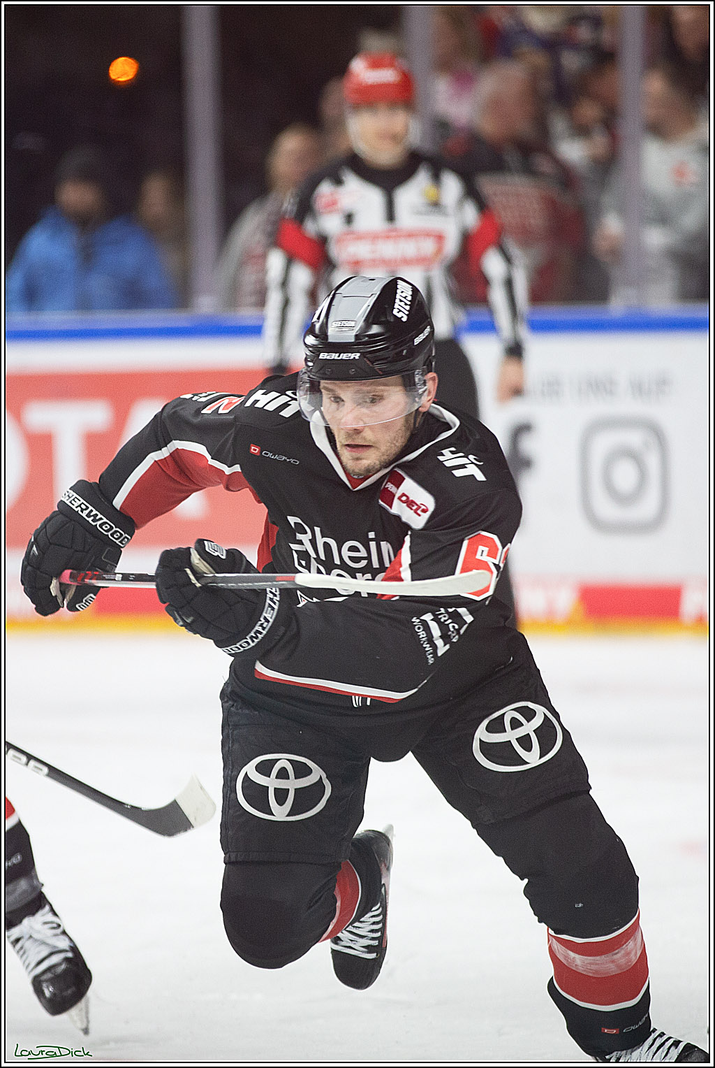 PENNY DEL; Koelner Haie-Pinguine Bremerhaven; Koeln, 15.11.2024