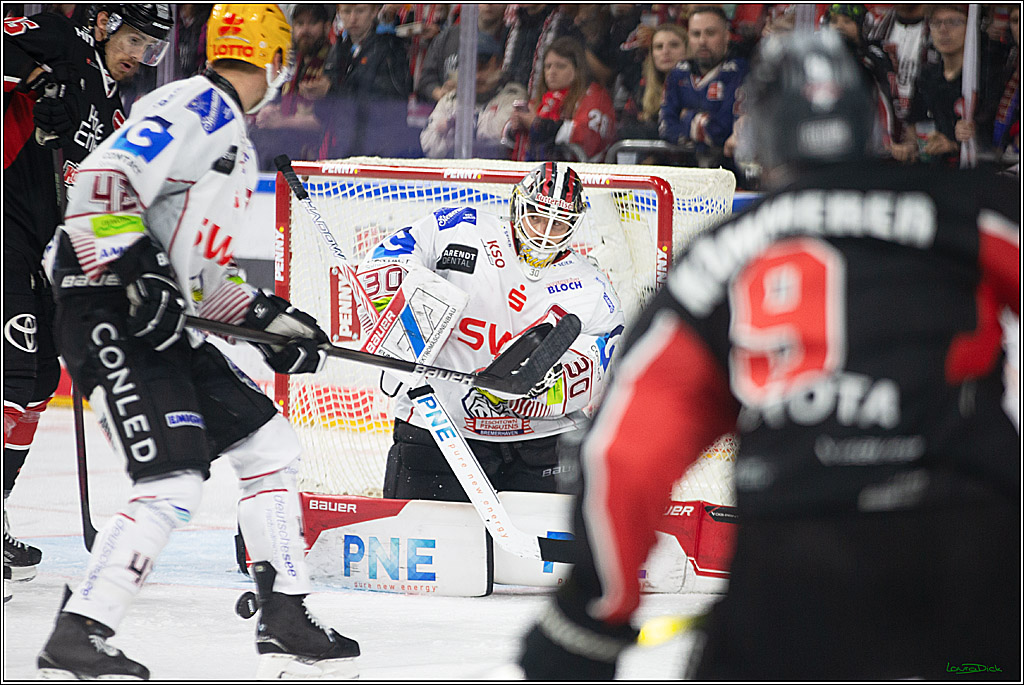 PENNY DEL; Koelner Haie-Pinguine Bremerhaven; Koeln, 15.11.2024