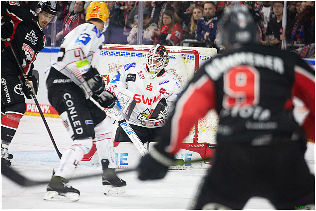 PENNY DEL; Koelner Haie-Pinguine Bremerhaven; Koeln, 15.11.2024