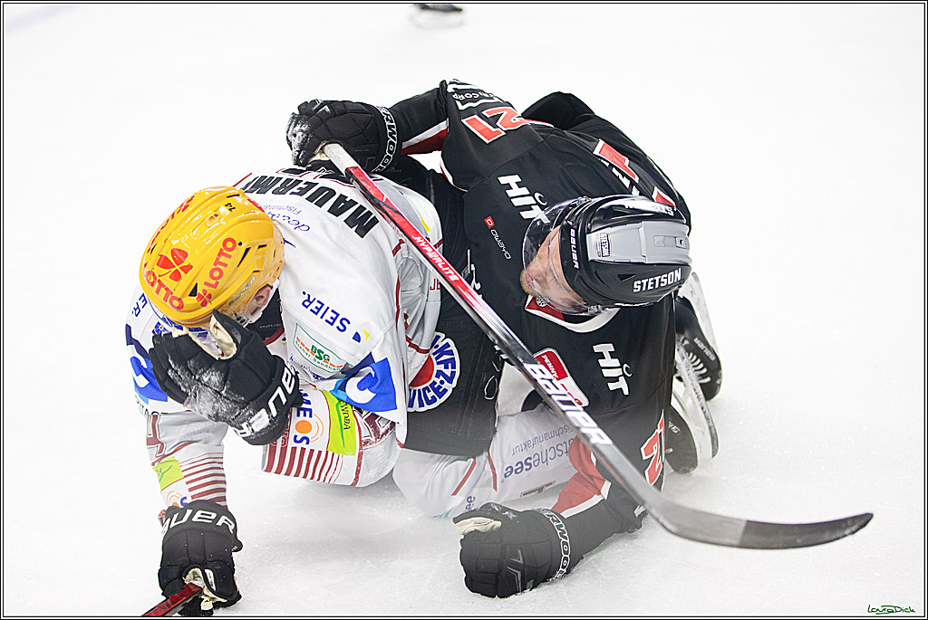 PENNY DEL; Koelner Haie-Pinguine Bremerhaven; Koeln, 15.11.2024