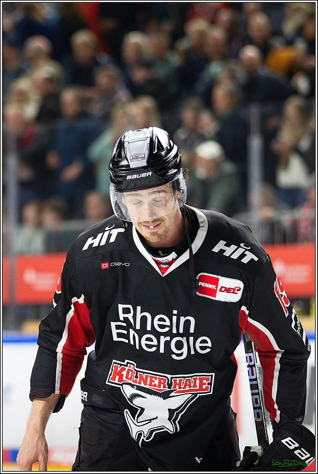 PENNY DEL; Koelner Haie-Pinguine Bremerhaven; Koeln, 15.11.2024