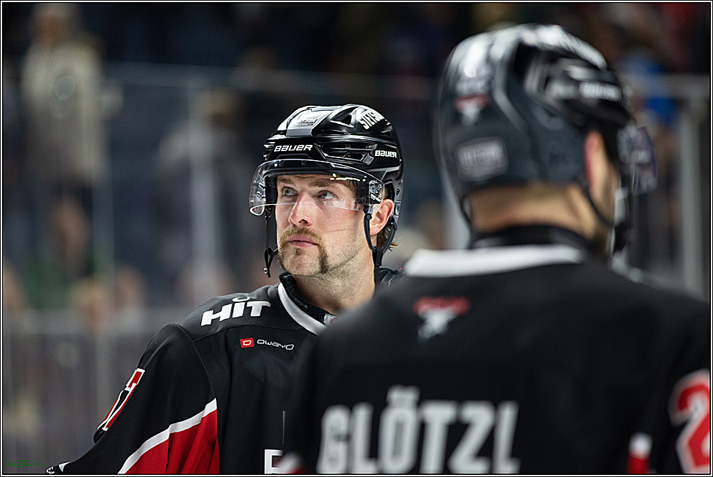 PENNY DEL; Koelner Haie-Pinguine Bremerhaven; Koeln, 15.11.2024