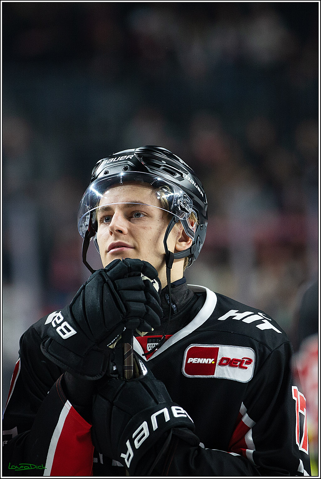 PENNY DEL; Koelner Haie-Pinguine Bremerhaven; Koeln, 15.11.2024