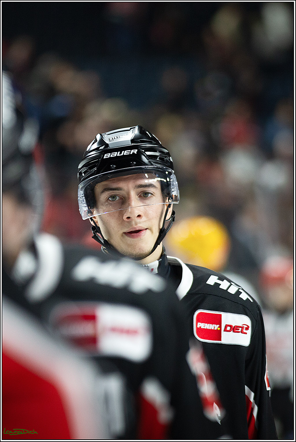 PENNY DEL; Koelner Haie-Pinguine Bremerhaven; Koeln, 15.11.2024