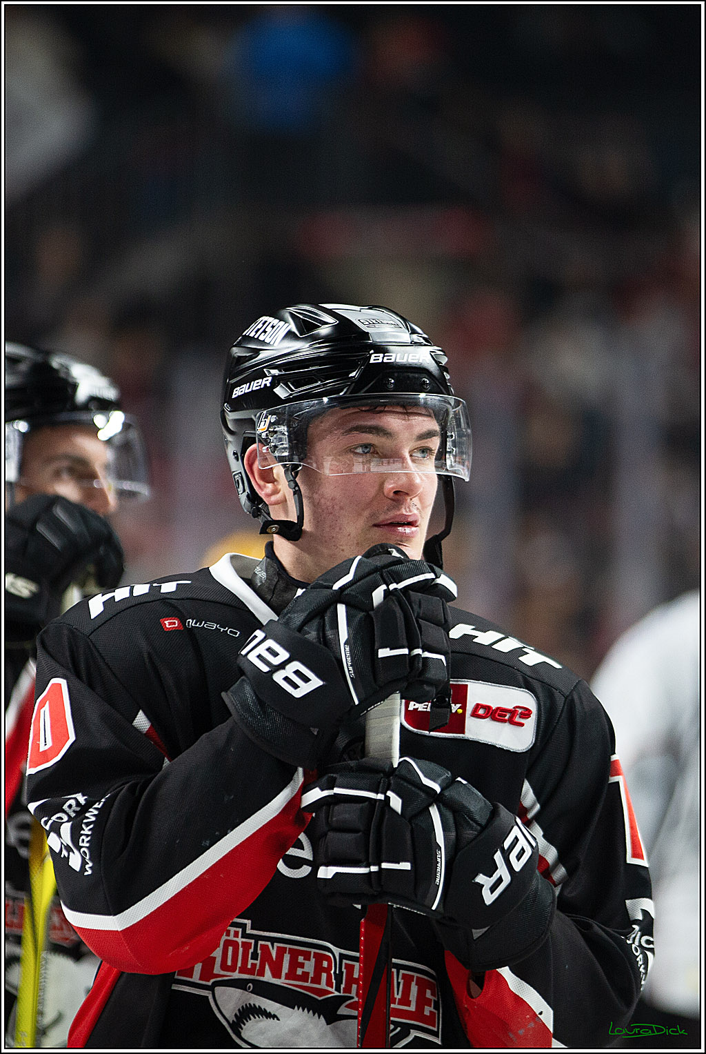 PENNY DEL; Koelner Haie-Pinguine Bremerhaven; Koeln, 15.11.2024