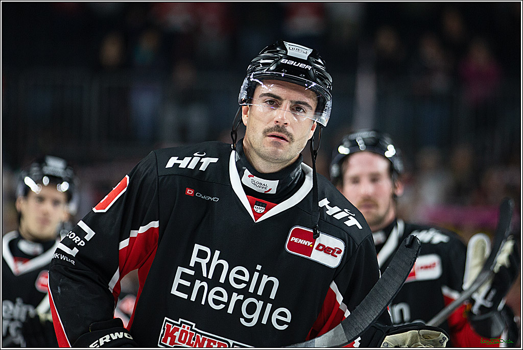 PENNY DEL; Koelner Haie-Pinguine Bremerhaven; Koeln, 15.11.2024