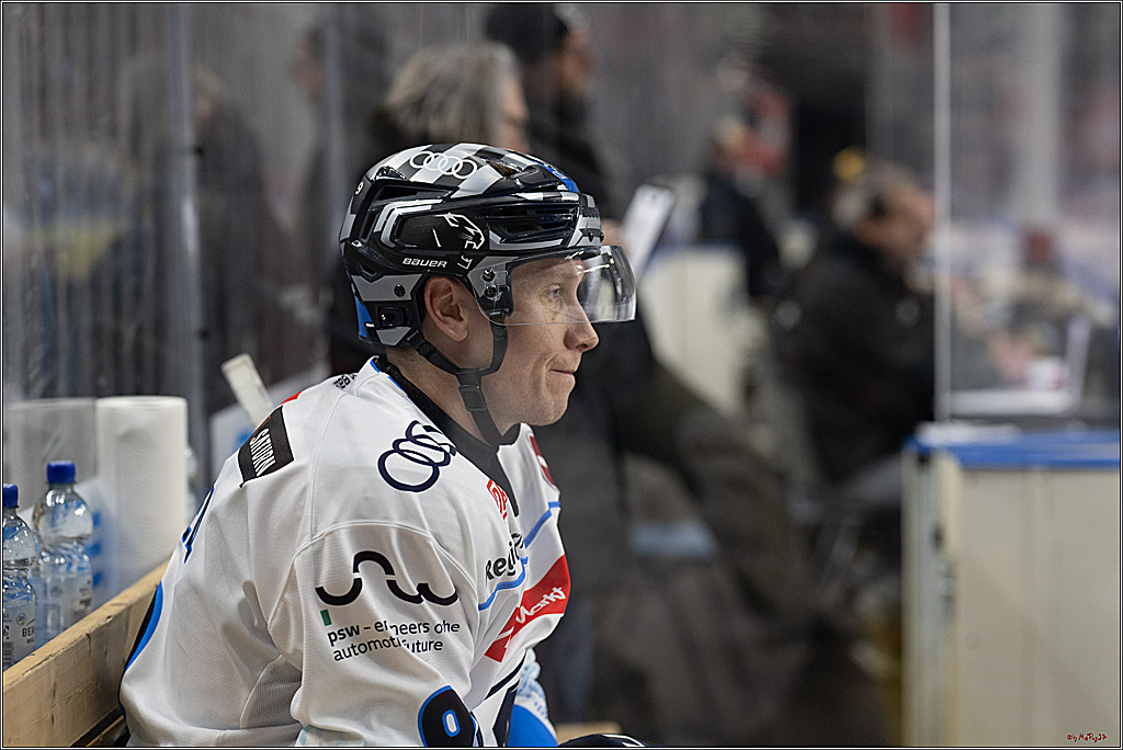 PENNY DEL 1; Kölner Haie - ERC Ingolstadt; Köln, 22.11.2024