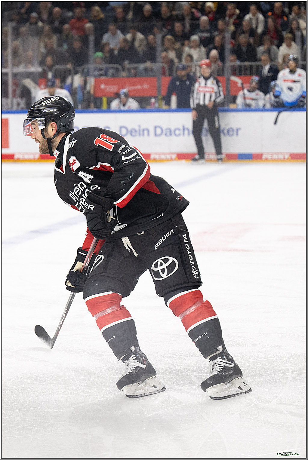 PENNY DEL; Koelner Haie-ERC Ingolstadt; Koeln, 22.11.2024