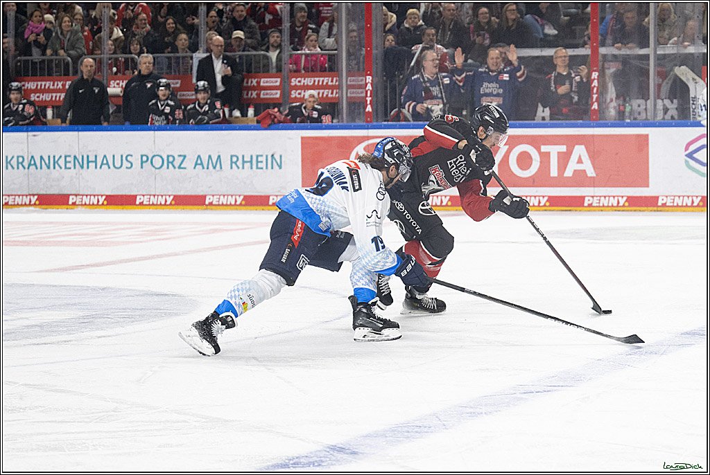 PENNY DEL; Koelner Haie-ERC Ingolstadt; Koeln, 22.11.2024