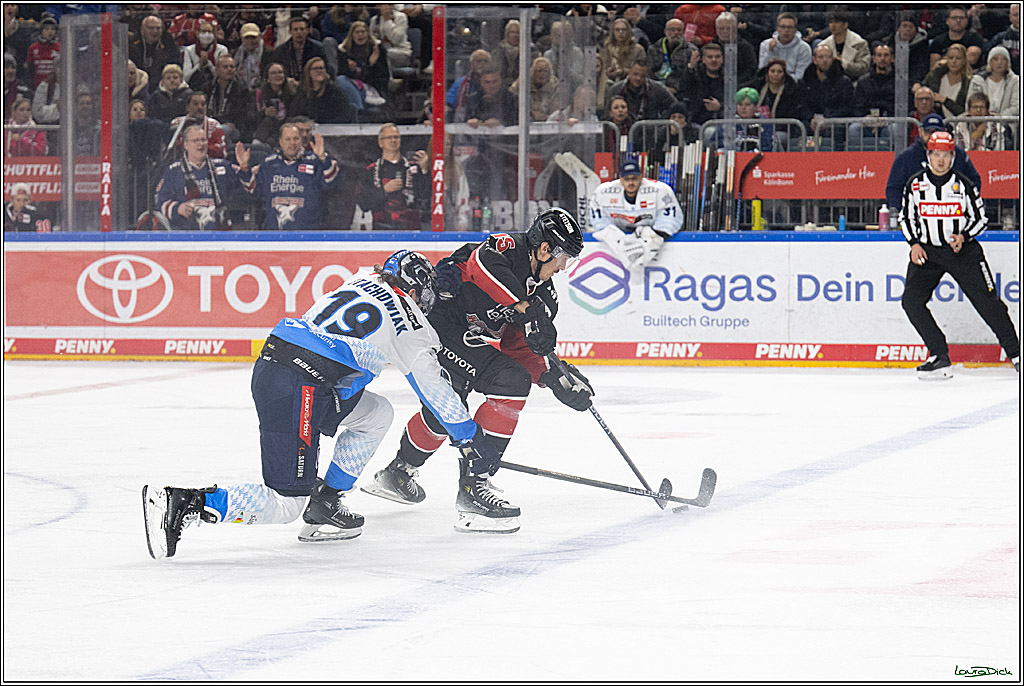 PENNY DEL; Koelner Haie-ERC Ingolstadt; Koeln, 22.11.2024