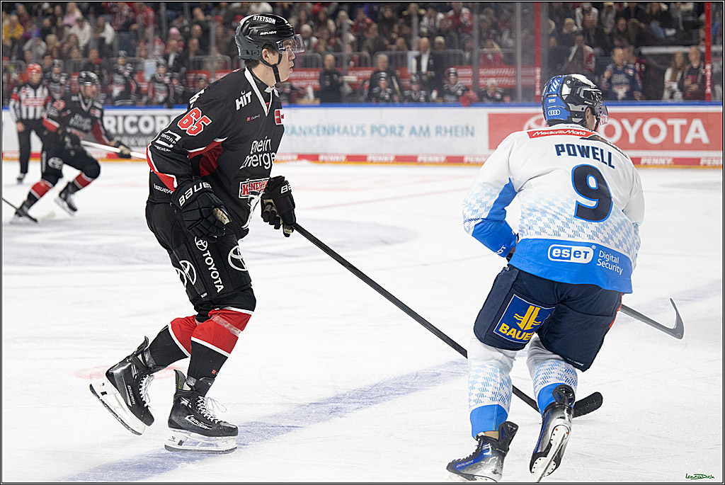 PENNY DEL; Koelner Haie-ERC Ingolstadt; Koeln, 22.11.2024
