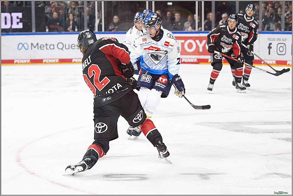 PENNY DEL; Koelner Haie-ERC Ingolstadt; Koeln, 22.11.2024