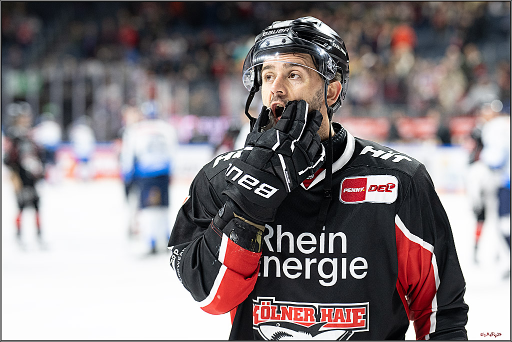 PENNY DEL 1; Kölner Haie - ERC Ingolstadt; Köln, 22.11.2024