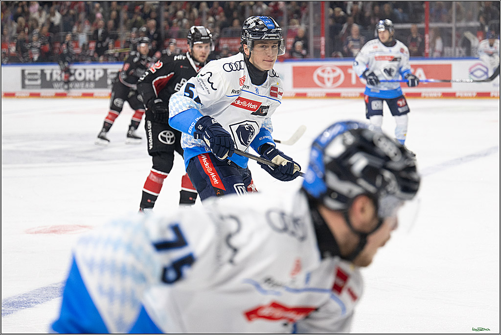 PENNY DEL; Koelner Haie-ERC Ingolstadt; Koeln, 22.11.2024