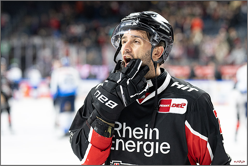 PENNY DEL 1; Kölner Haie - ERC Ingolstadt; Köln, 22.11.2024