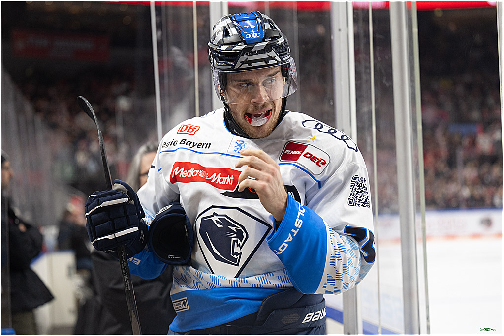 PENNY DEL; Koelner Haie-ERC Ingolstadt; Koeln, 22.11.2024