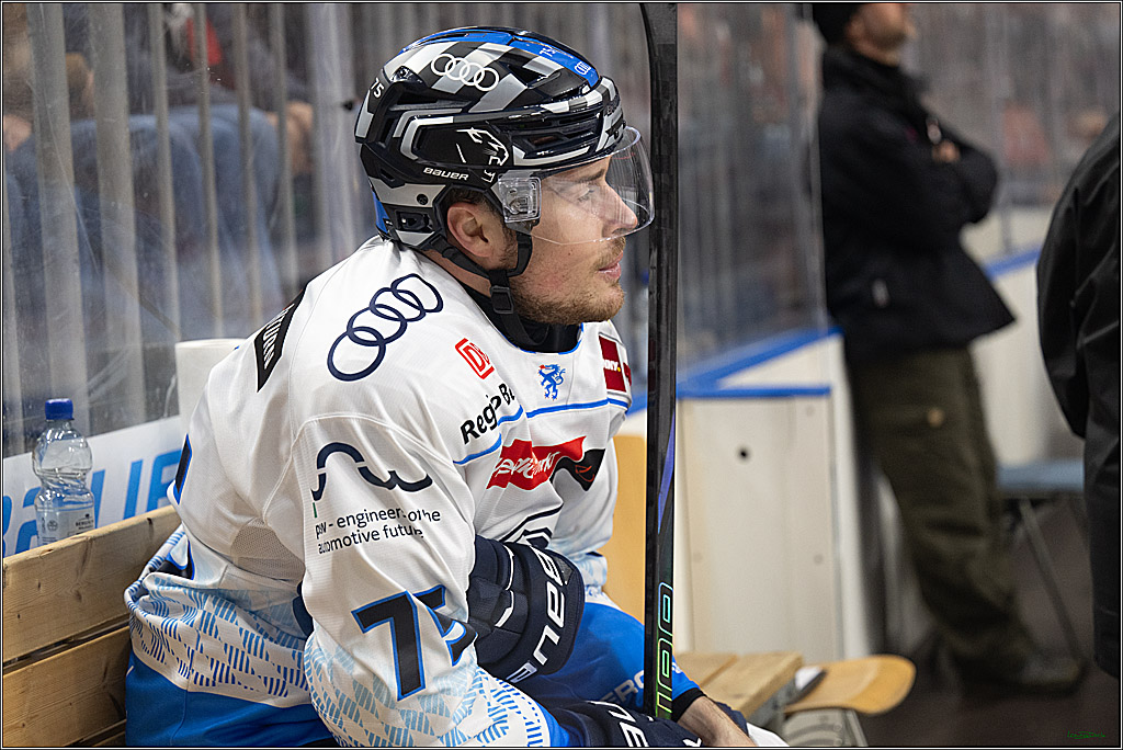 PENNY DEL; Koelner Haie-ERC Ingolstadt; Koeln, 22.11.2024