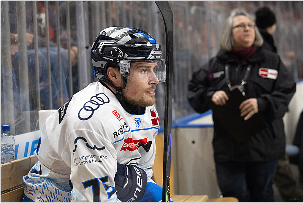 PENNY DEL; Koelner Haie-ERC Ingolstadt; Koeln, 22.11.2024
