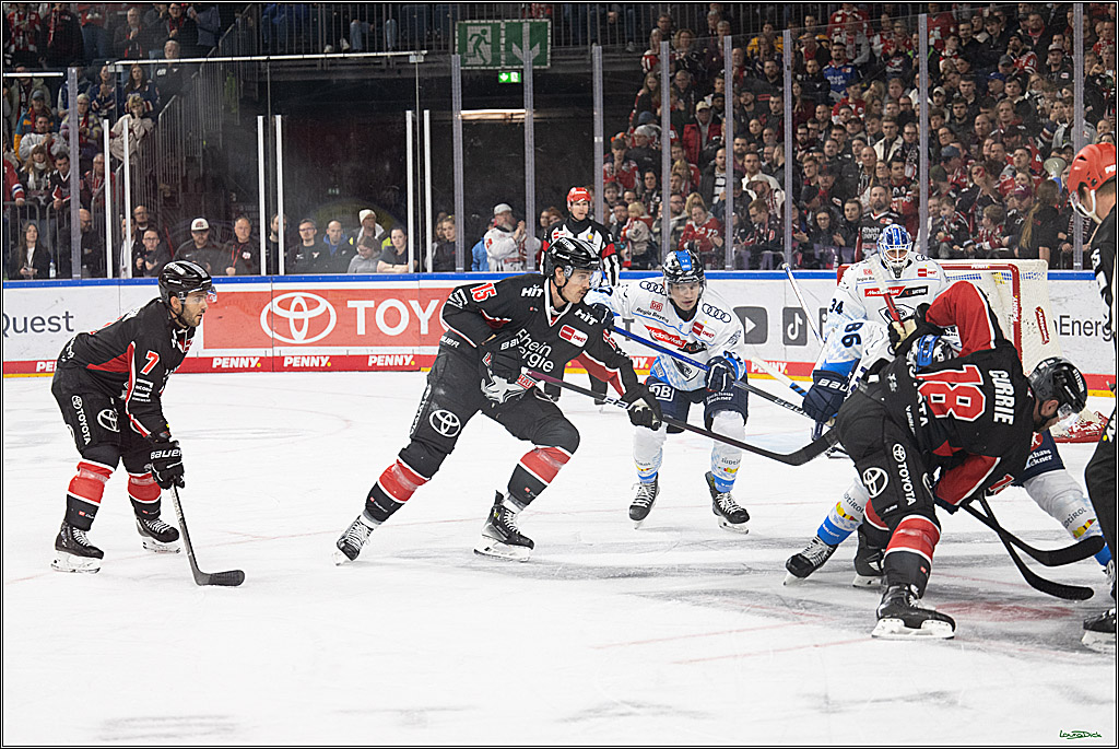 PENNY DEL; Koelner Haie-ERC Ingolstadt; Koeln, 22.11.2024