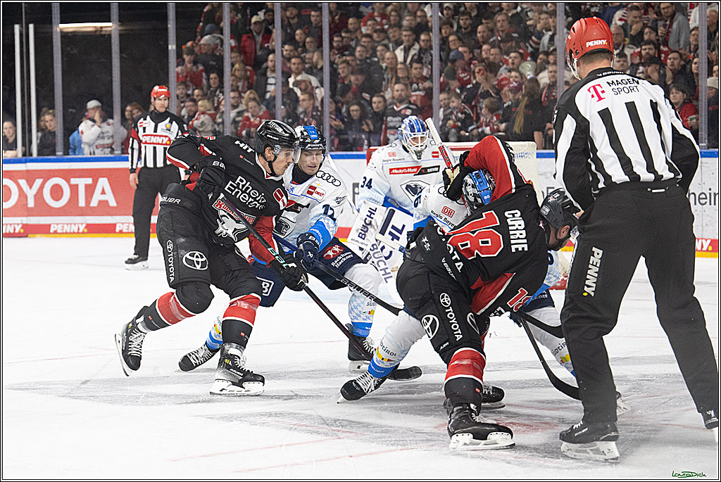 PENNY DEL; Koelner Haie-ERC Ingolstadt; Koeln, 22.11.2024