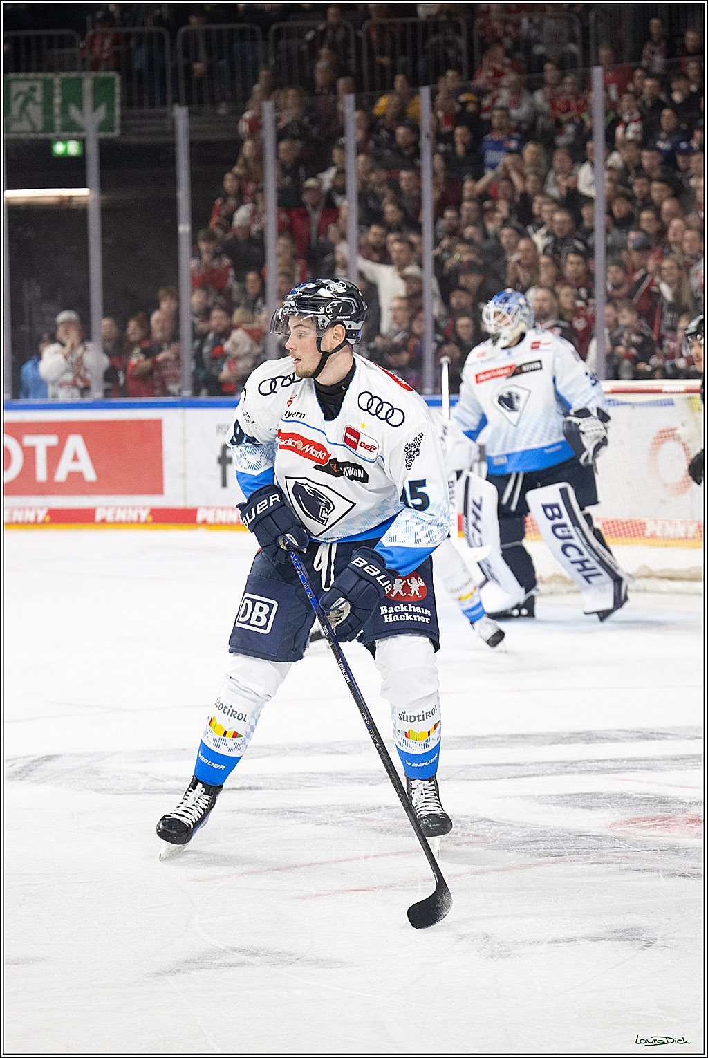 PENNY DEL; Koelner Haie-ERC Ingolstadt; Koeln, 22.11.2024