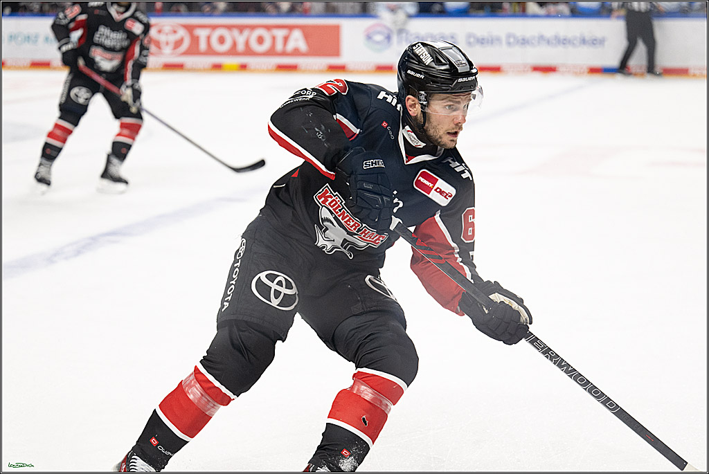 PENNY DEL; Koelner Haie-ERC Ingolstadt; Koeln, 22.11.2024
