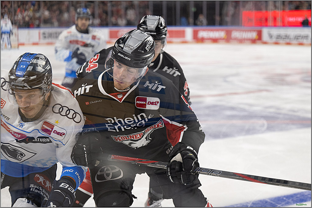 PENNY DEL; Koelner Haie-ERC Ingolstadt; Koeln, 22.11.2024