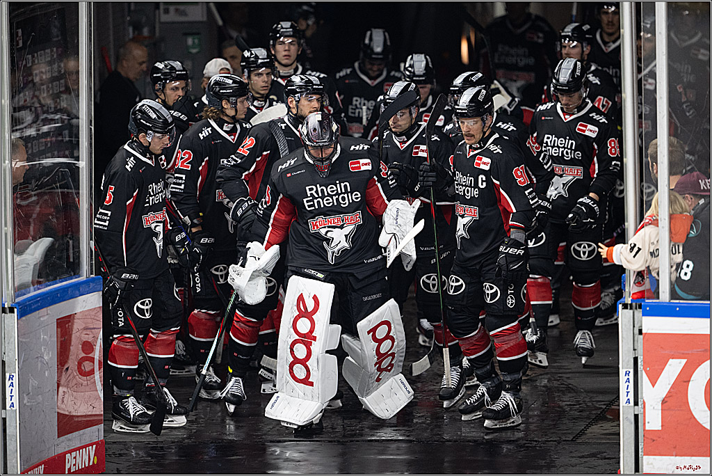 PENNY DEL 1; Kölner Haie - ERC Ingolstadt; Köln, 22.11.2024