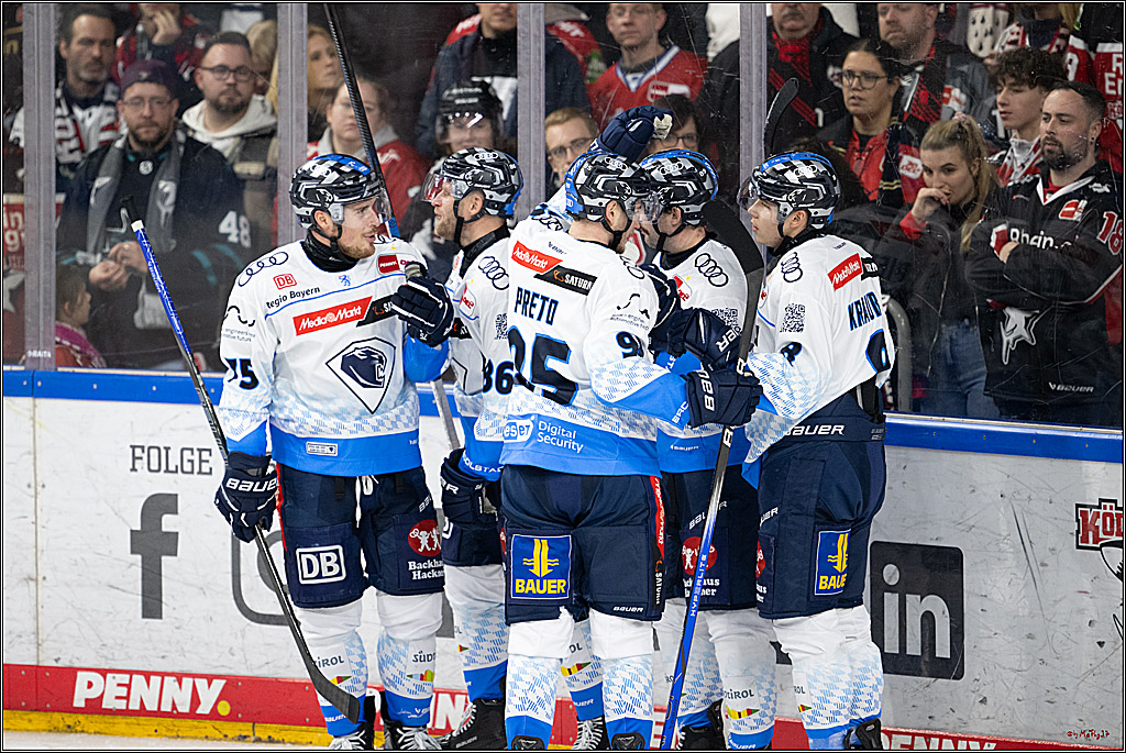 PENNY DEL 1; Kölner Haie - ERC Ingolstadt; Köln, 22.11.2024