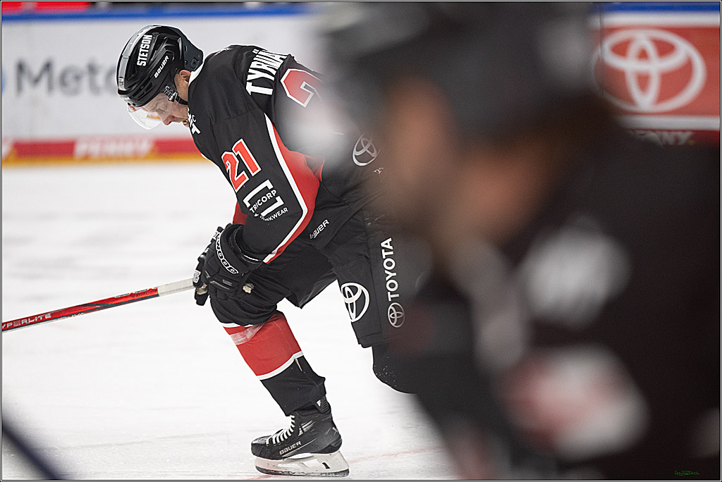 PENNY DEL; Koelner Haie-ERC Ingolstadt; Koeln, 22.11.2024