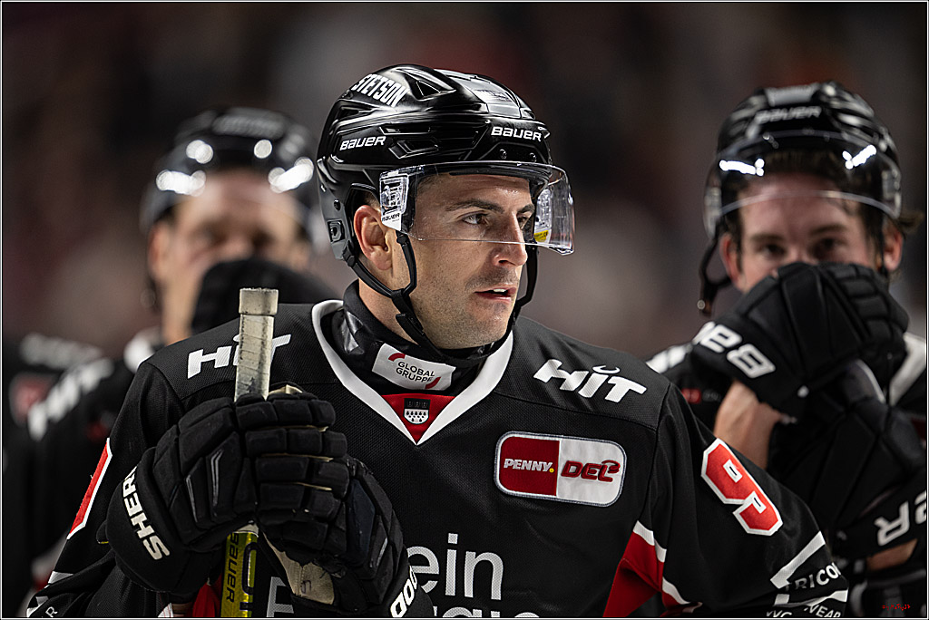 PENNY DEL 1; Kölner Haie - ERC Ingolstadt; Köln, 22.11.2024
