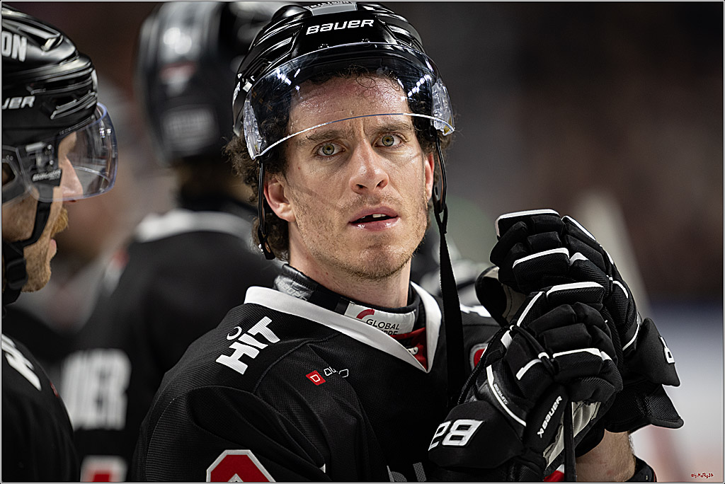 PENNY DEL 1; Kölner Haie - ERC Ingolstadt; Köln, 22.11.2024