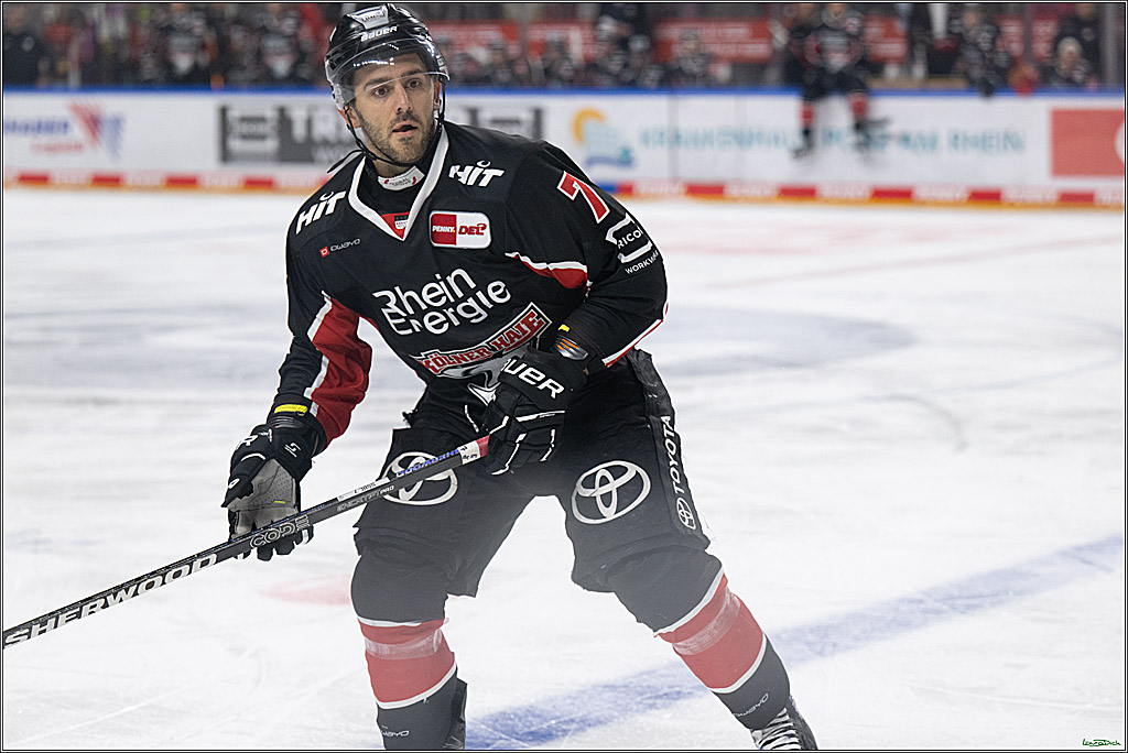PENNY DEL; Koelner Haie-ERC Ingolstadt; Koeln, 22.11.2024