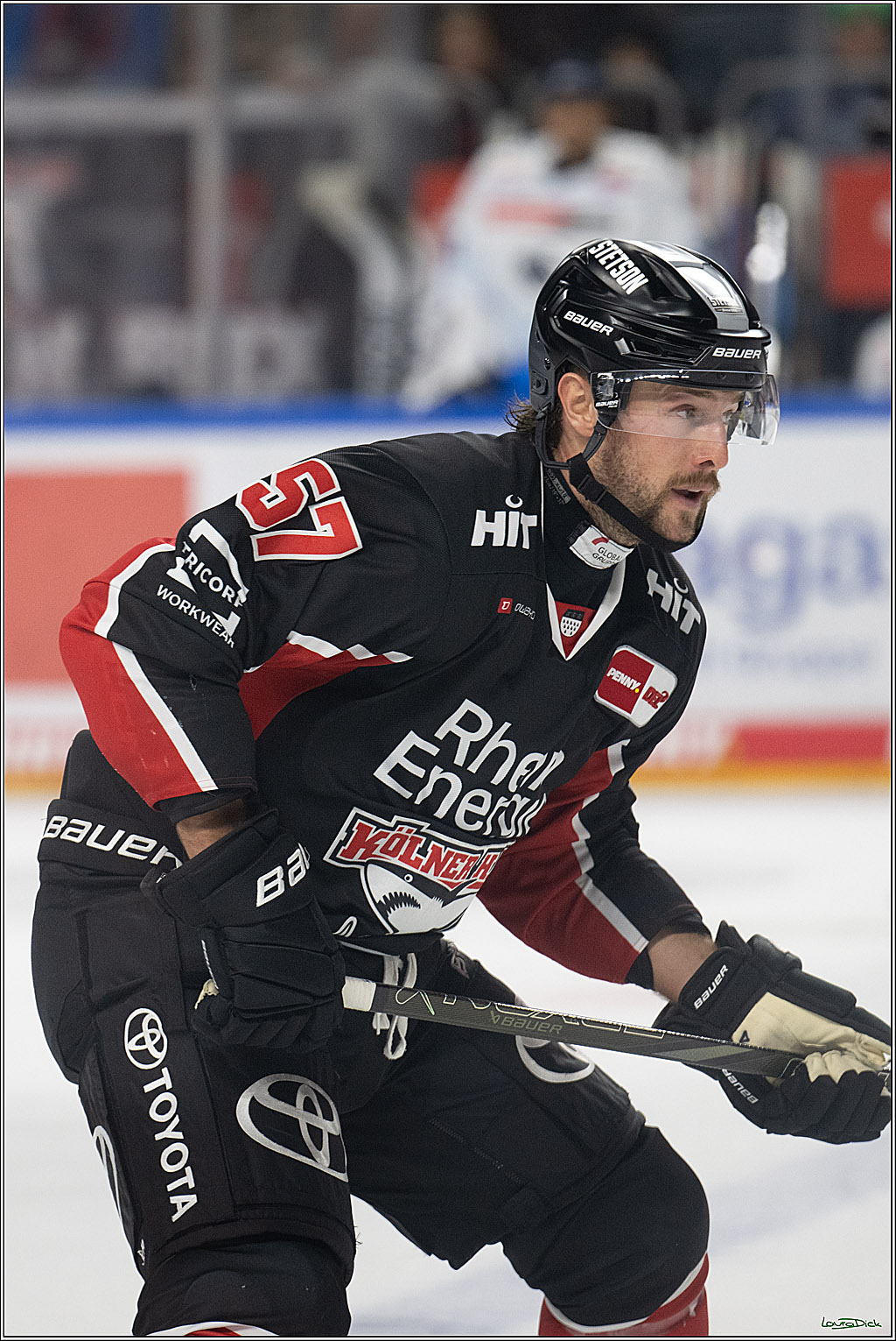 PENNY DEL; Koelner Haie-ERC Ingolstadt; Koeln, 22.11.2024